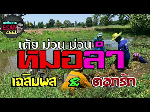 หมอลำม่วนๆ-ฟังเพลินเพลิน-เฉลิม หมอลำม่วนๆ-ฟังเพลินเพลิน-เฉลิม