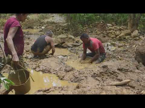 Venezuela: Prefiero sacar oro que ir a la escuela», el drama de niños mineros