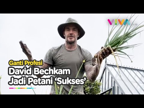 Viral! Pensiun Jadi Pemain Bola, David Beckham Asik Panen Daun Bawang