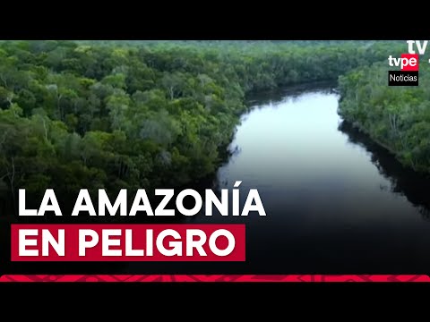 La Amazonía está en peligro mortal, advierten especialistas