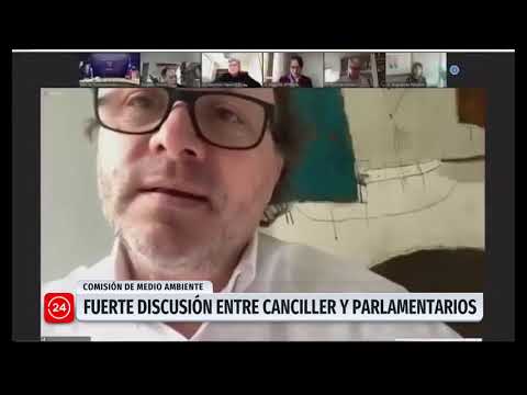 Dura discusión entre ministro Allamand con senadores Girardi y Navarro | 24 Horas TVN Chile
