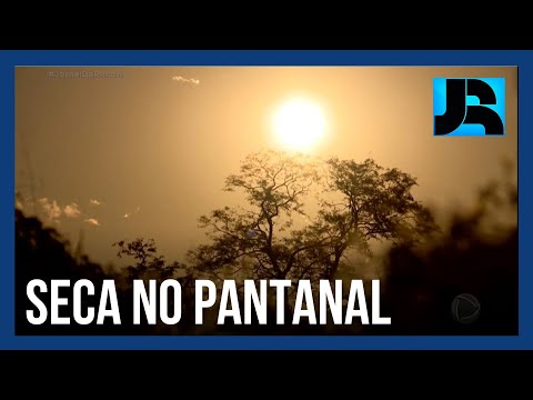 Falta de chuva e incêndios provocam o ano mais seco do Pantanal em mais de três décadas