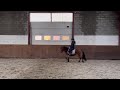 Recreation pony SUPER brave 6 jarige A/B ponymerrie