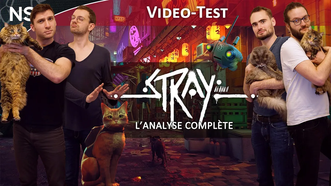 Vido-Test de Stray par The NayShow
