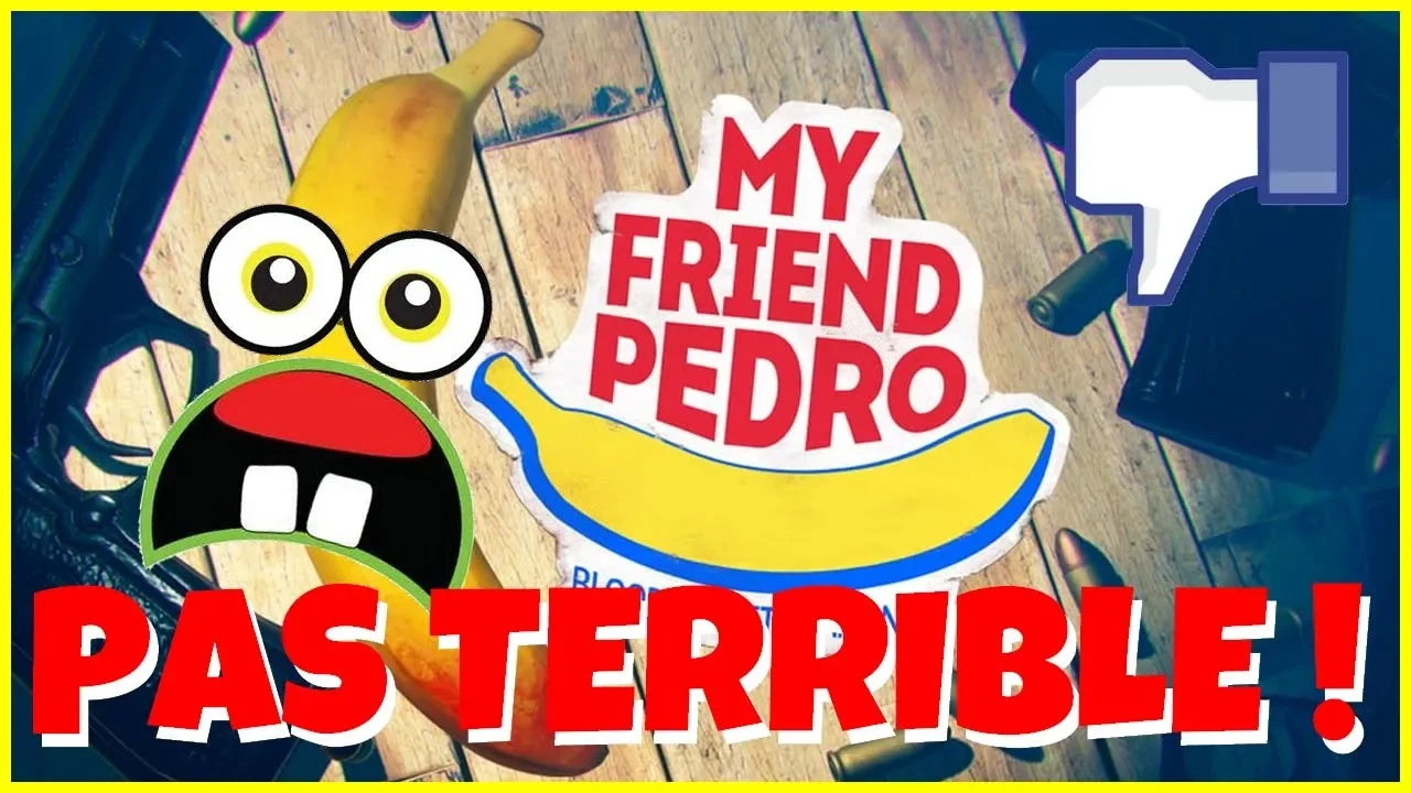 Vido-Test de My Friend Pedro par Bibi300