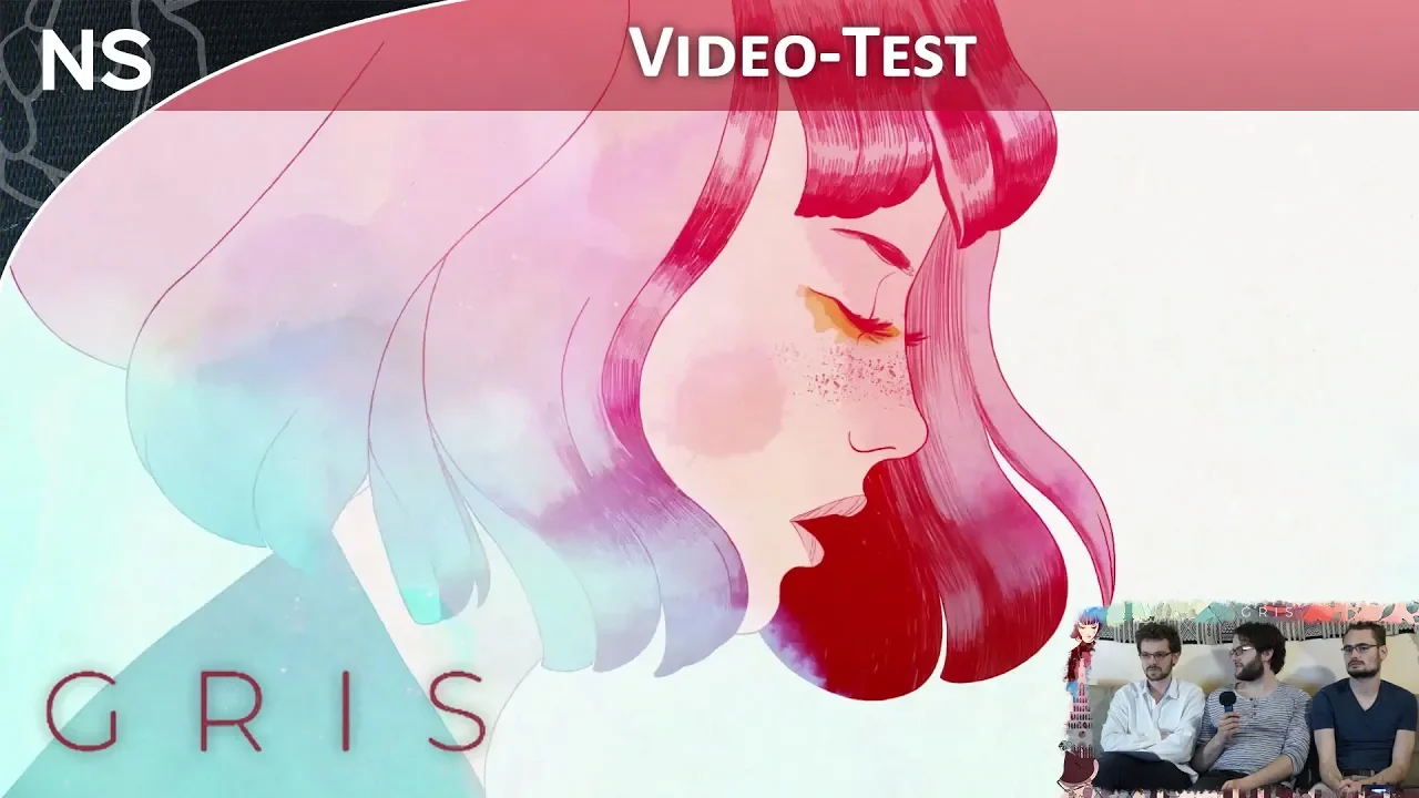 Vido-Test de Gris par The NayShow